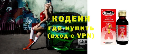 дживик Верхний Тагил