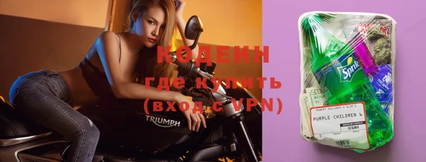 дживик Верхний Тагил