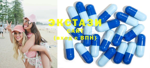 дживик Верхний Тагил