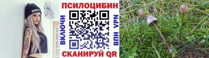 Галлюциногенные грибы Psilocybine cubensis  hydra как зайти  Домодедово 